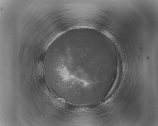 X0000057091369200509161618