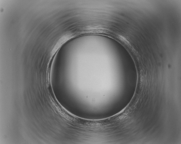 X0000057091370200509161618