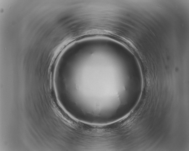 X0000057091371200509161618