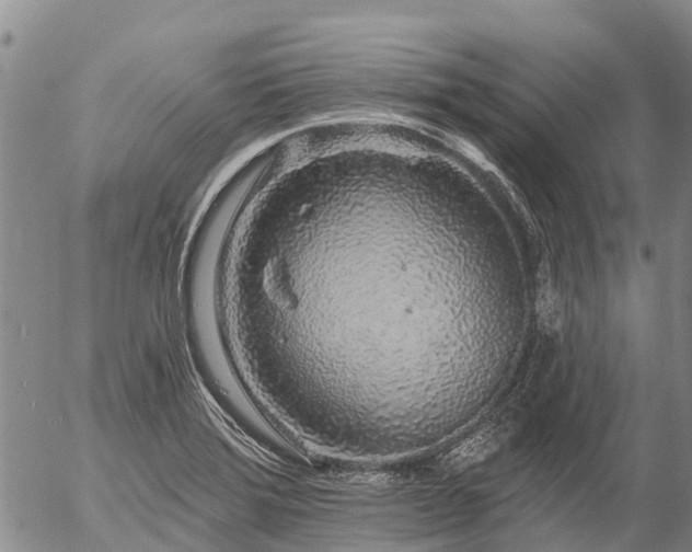 X0000057091372200509161618