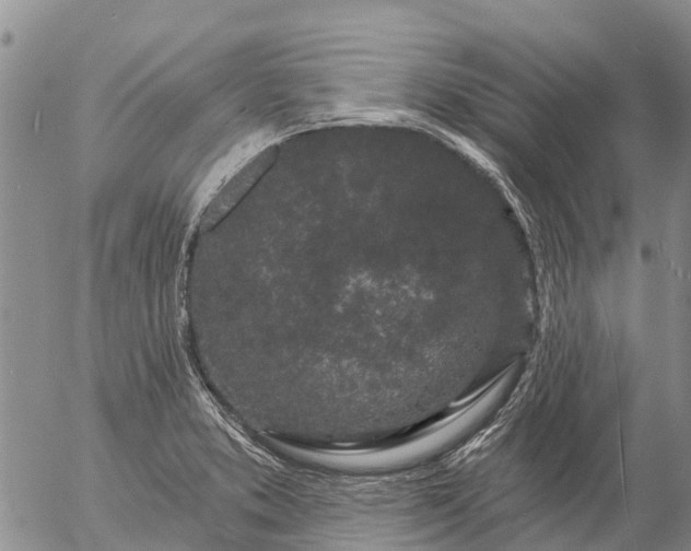 X0000057091373200509161618