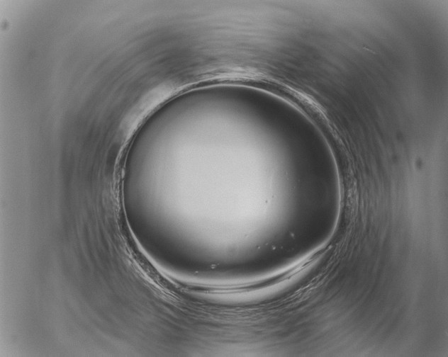 X0000057091375200509161618