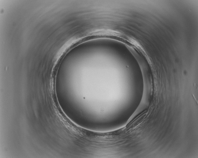 X0000057091376200509161618