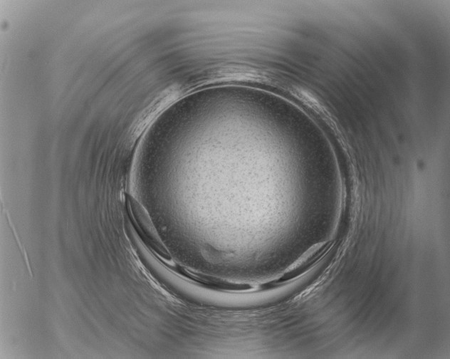 X0000057091377200509161618