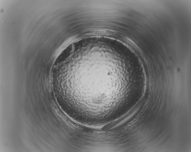 X0000057091378200509161618