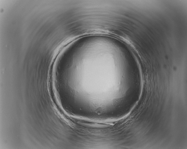 X0000057091379200509161618