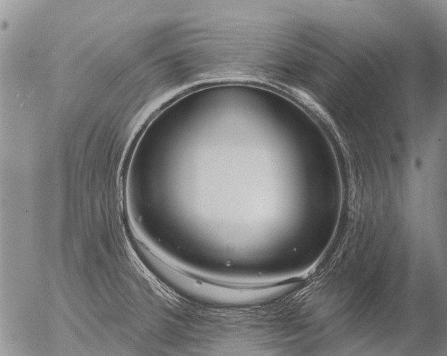 X0000057091380200509161618