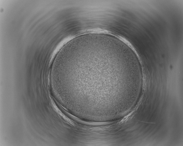 X0000057091381200509161618