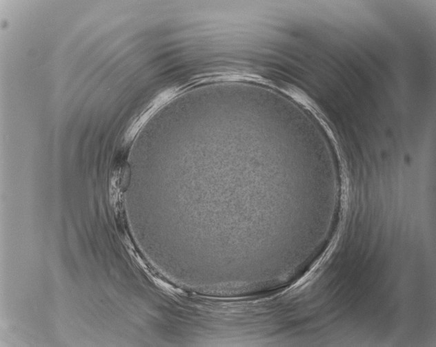 X0000057091385200509161618