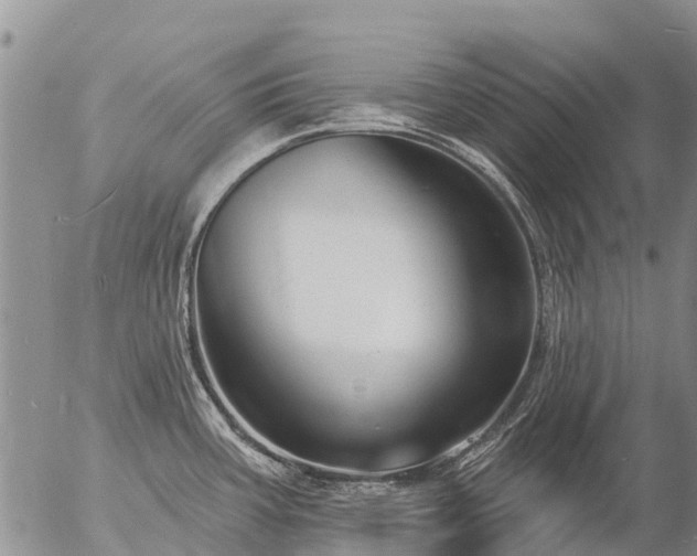 X0000057091387200509161618