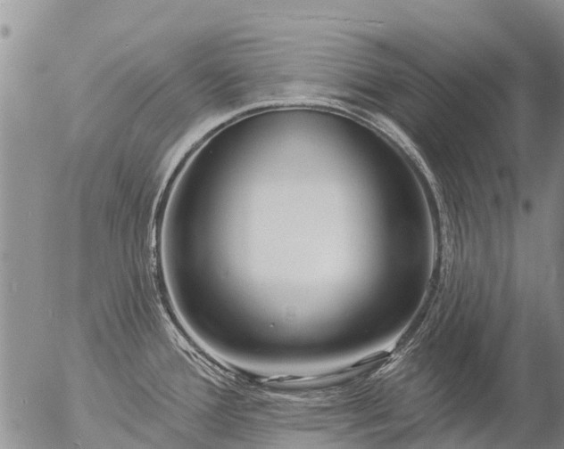 X0000057091388200509161618