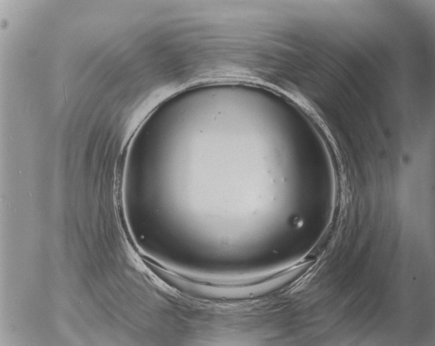 X0000057091390200509161618