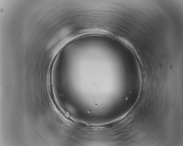 X0000057091391200509161618