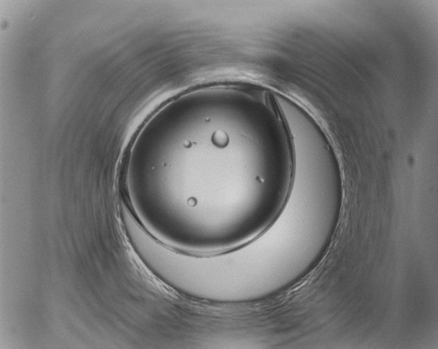 X0000057091392200509161618