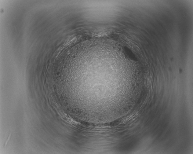 X0000057091393200509161617