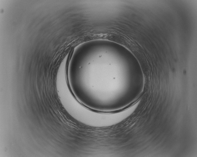 X0000057091394200509161617