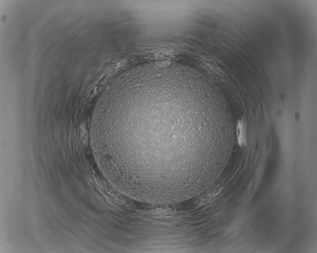 X0000057091395200509161617