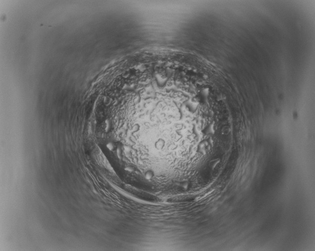 X0000057091397200509161617