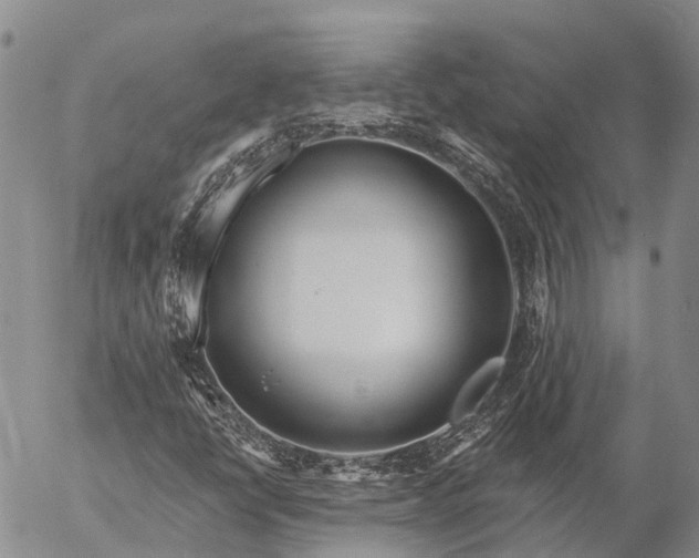 X0000057091398200509161617