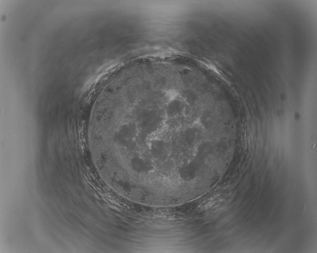 X0000057091399200509161617