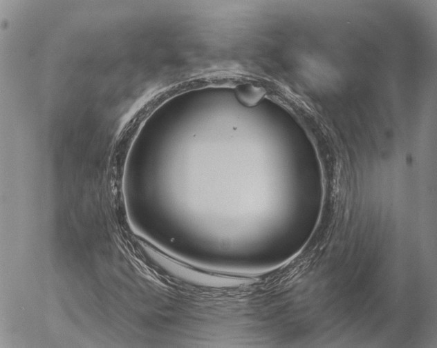 X0000057091400200509161617