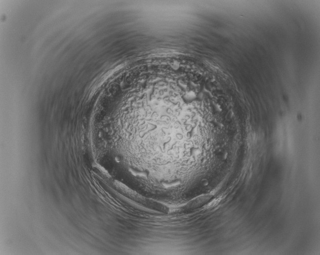 X0000057091401200509161617