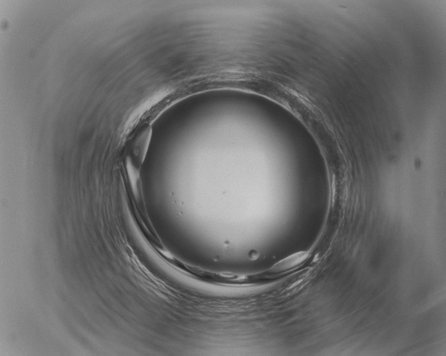 X0000057091402200509161617