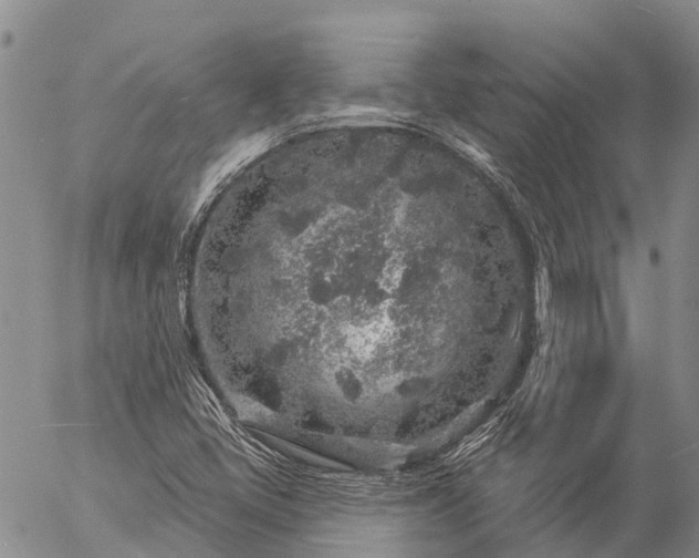 X0000057091405200509161617