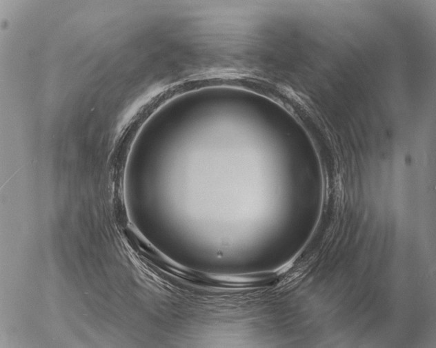 X0000057091406200509161618