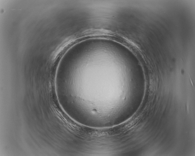 X0000057091407200509161618