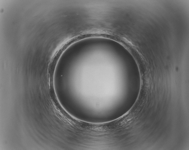 X0000057091408200509161618