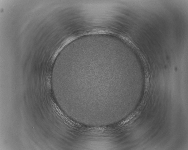 X0000057091409200509161618