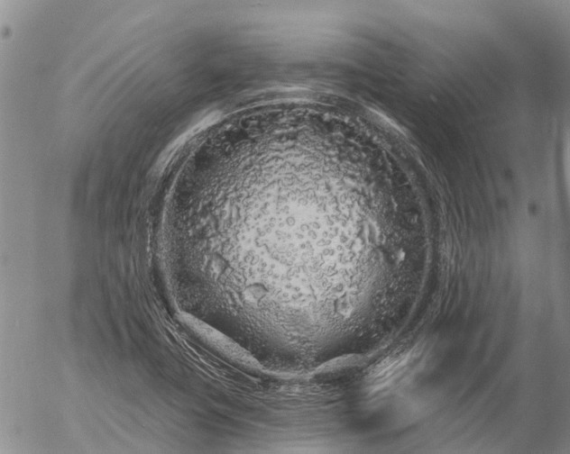 X0000057091411200509161618