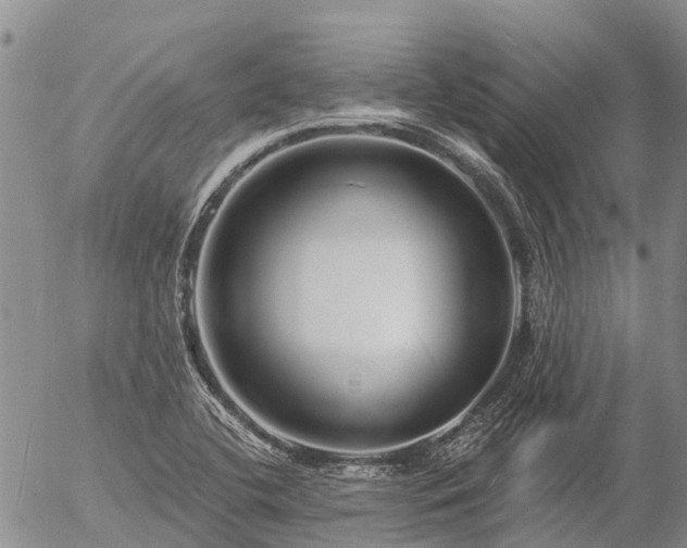 X0000057091412200509161618