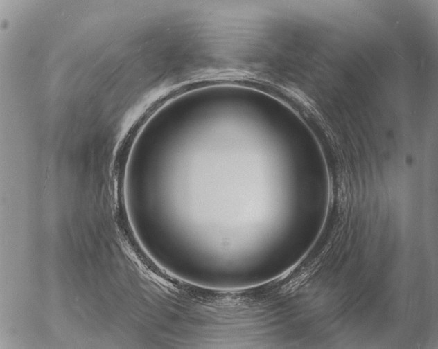 X0000057091414200509161618