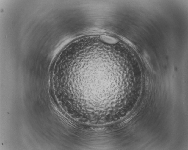 X0000057091415200509161618