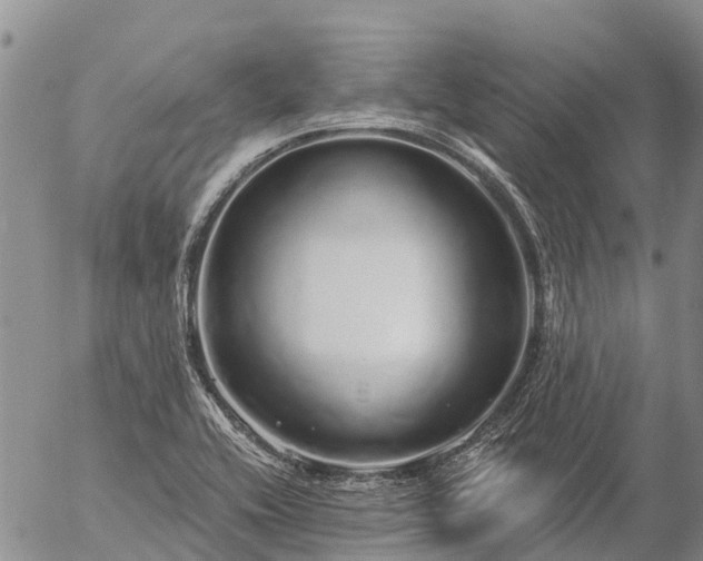 X0000057091416200509161618