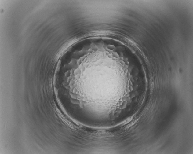 X0000057091417200509161618