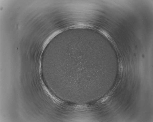 X0000057091418200509161618