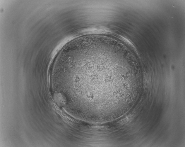 X0000057091419200509161618