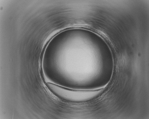 X0000057091420200509161618