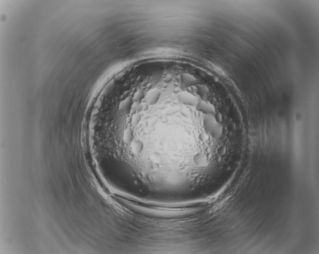 X0000057091421200509161618