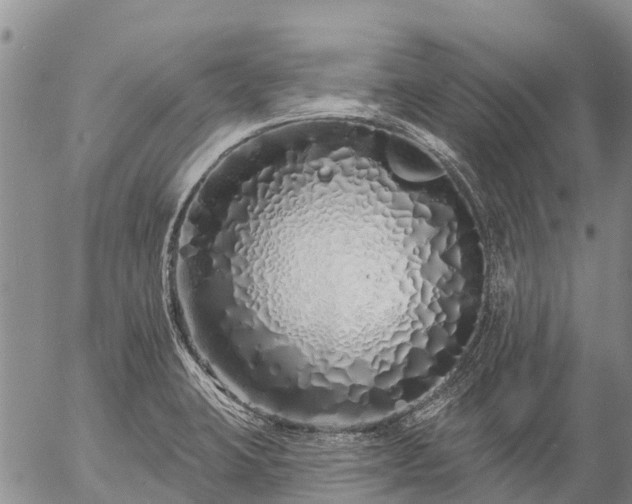 X0000057091423200509161618