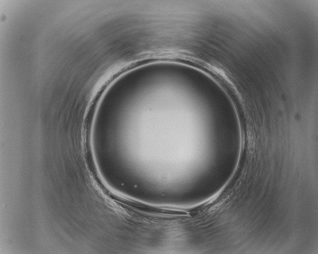 X0000057091424200509161618