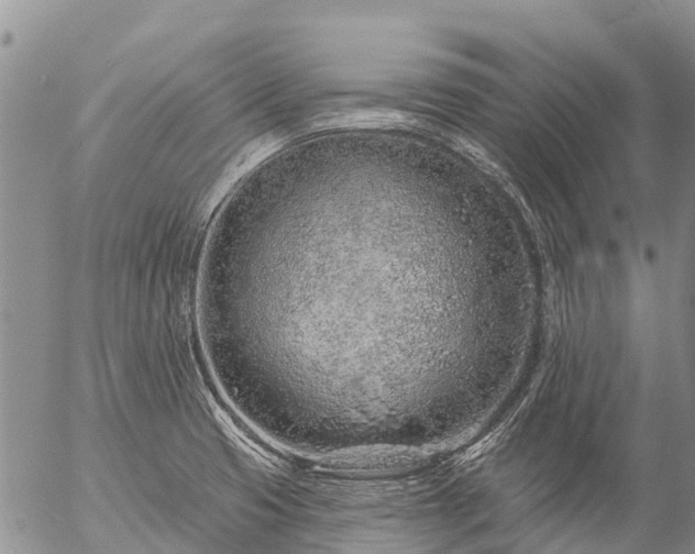 X0000057091425200509161618