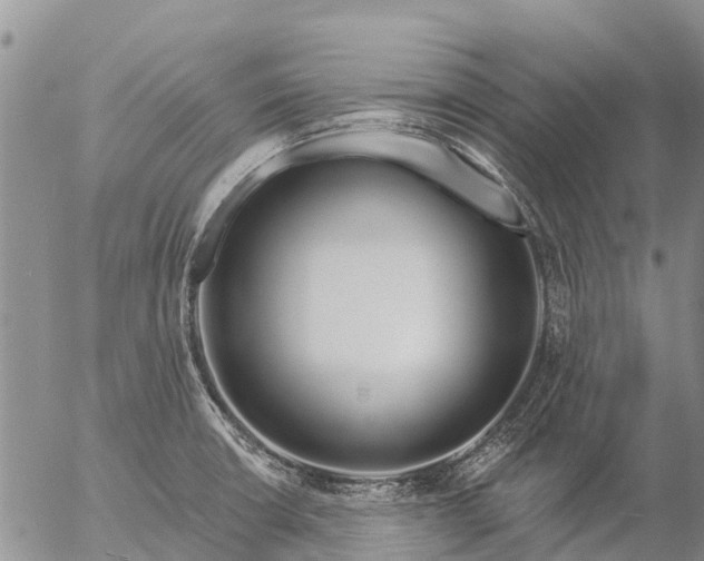 X0000057091426200509161618