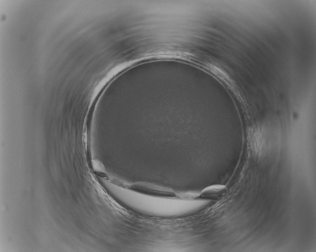 X0000057091428200509161618