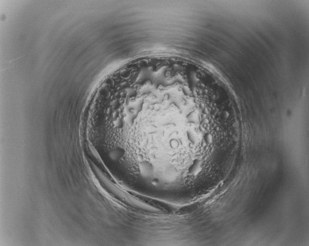 X0000057091429200509161618