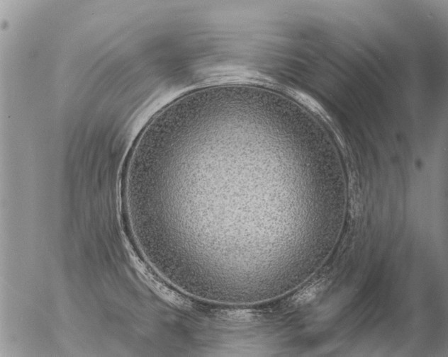 X0000057091431200509161618