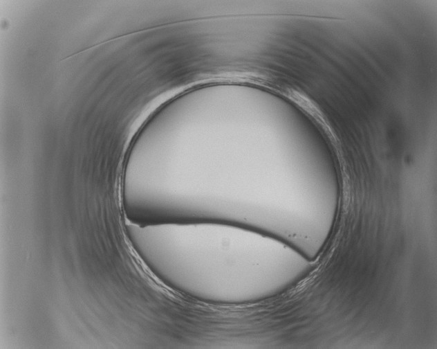 X0000057091436200509161618